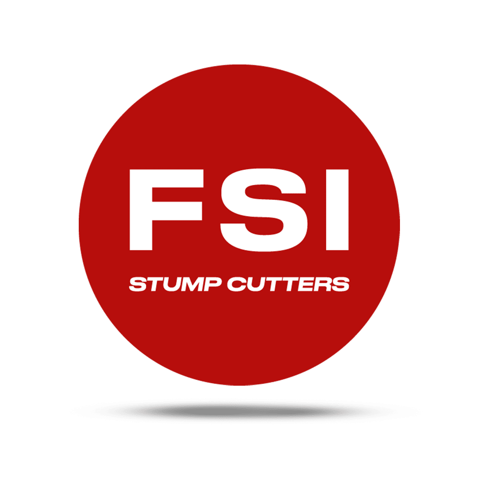 FSI category logo image